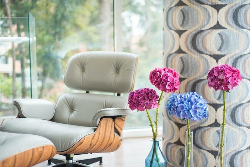 hydrangeas pink and blue stems in office with chair