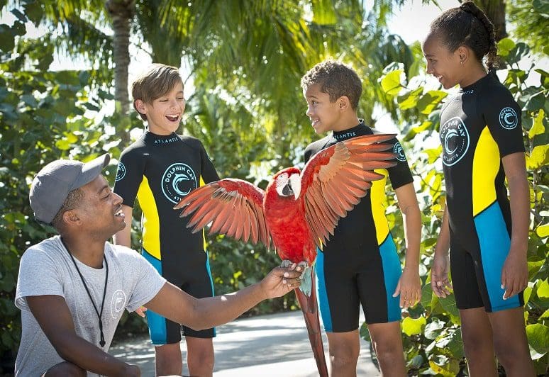 children with parrot at atlantis bahamas family friendly activities tropical escape | East End Taste Magazine