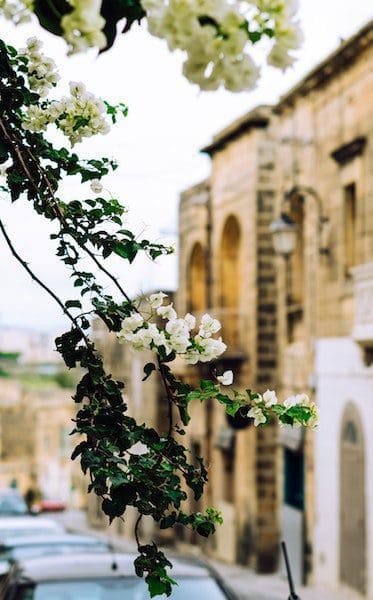 gozo malta non touristy travel