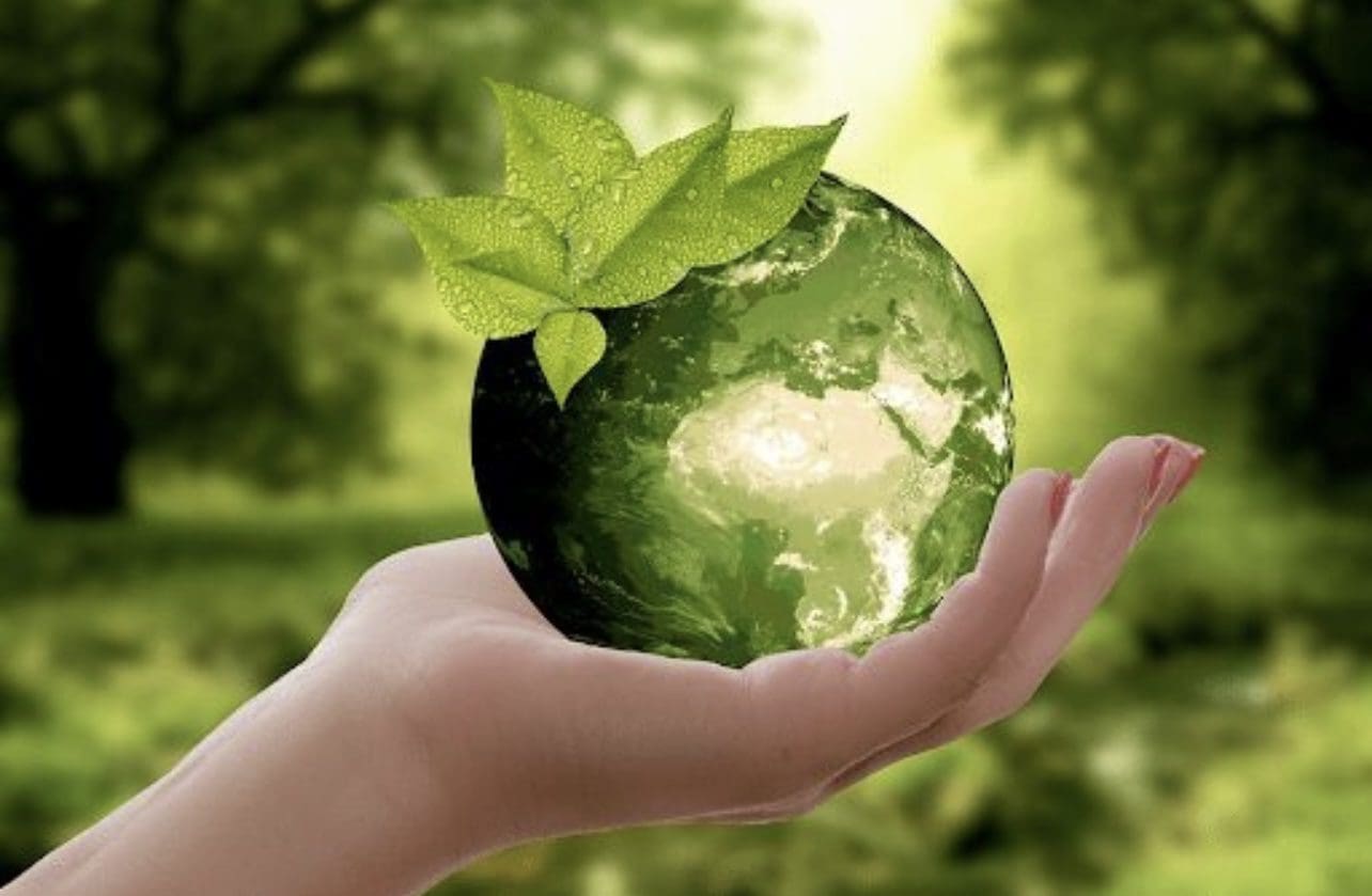 woman holding green eco earth environment