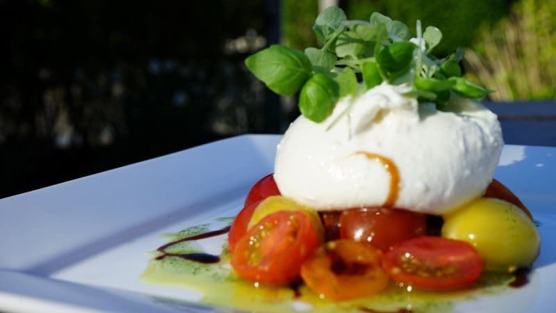 heirloom tomatoes burrata salad on white plate