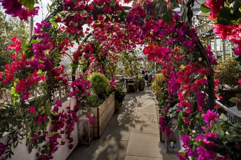 florals outside restaurant walkway