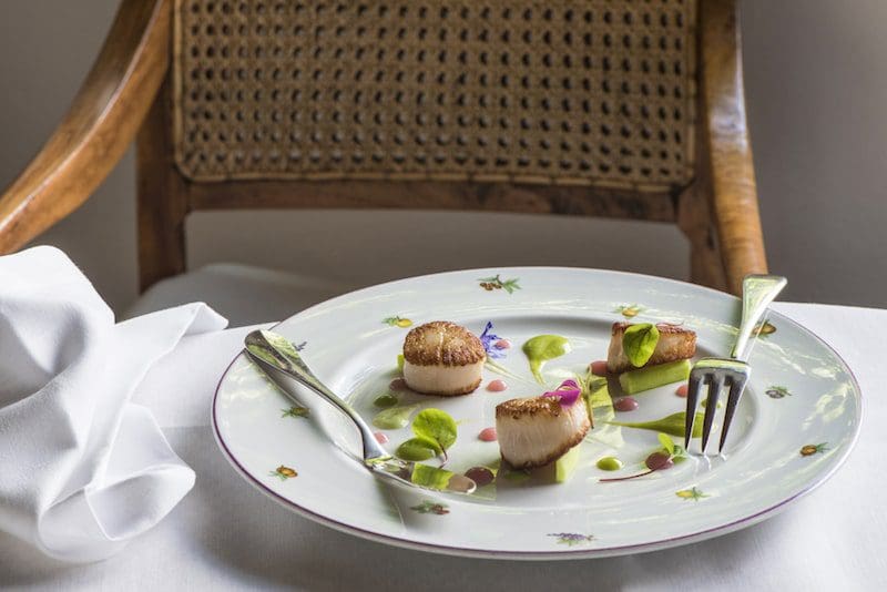 scallops on a white plate fine dining italy