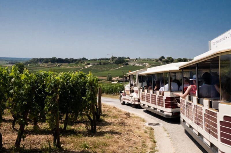 vineyard train wine tasting