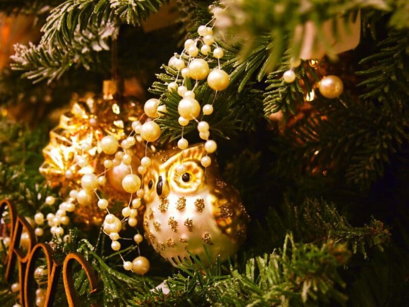 owl christmas decoration tree festive