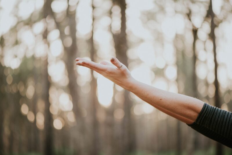 hand reaching out meditation wellness retreat woods