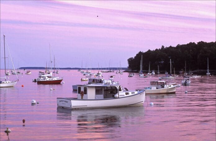 Pink Sunset at Rockport Harbor ME