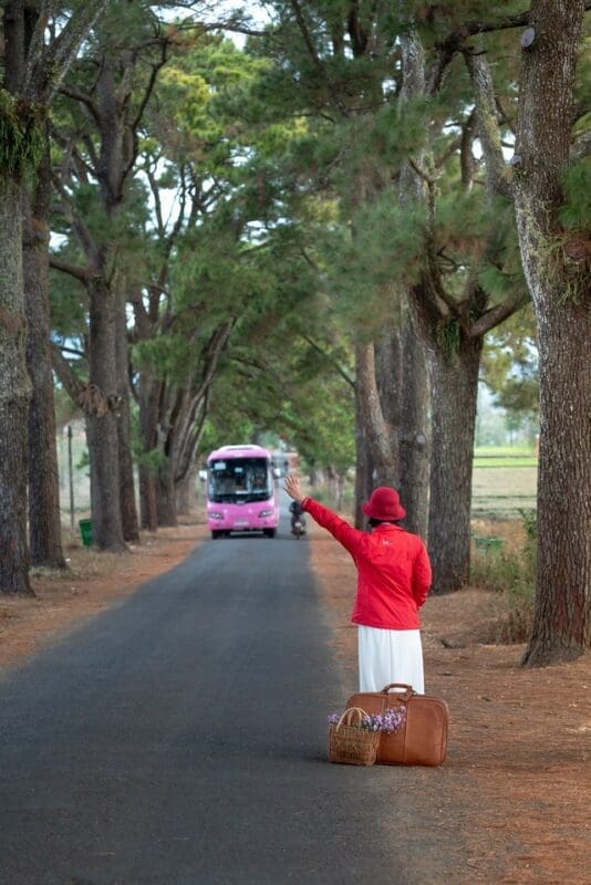 hailing public transportation