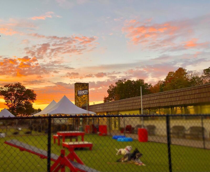 dog park at sunset