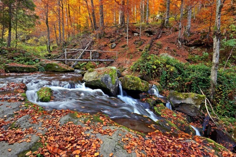 tennessee smoky mountains stream in autumn