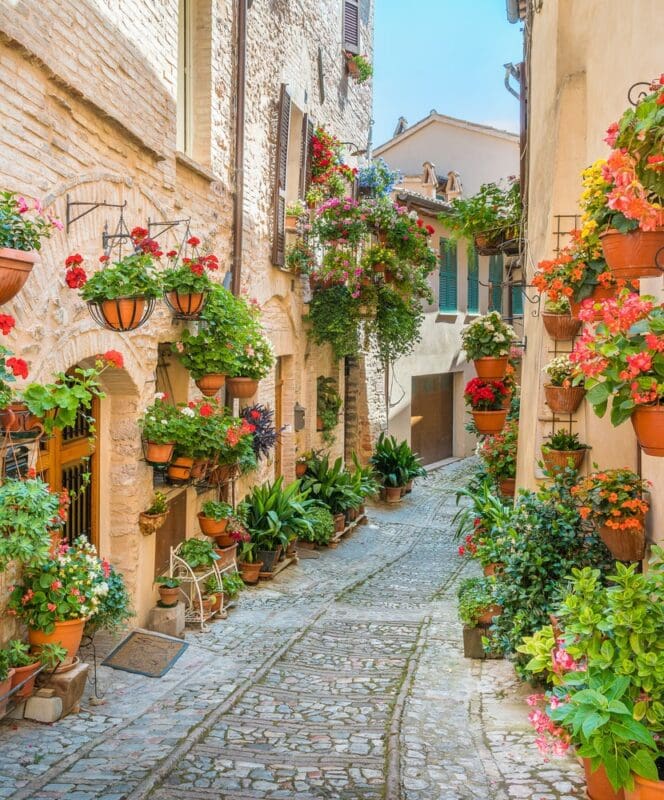 Scenic sight in Spello, flowery and picturesque, Umbria