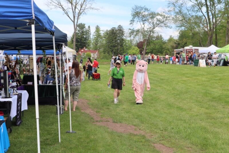 piggy costume at fair in New England