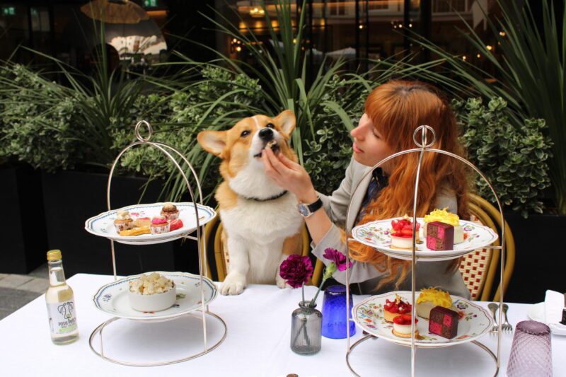 Corgi Afternoon Tea at The Biltmore Mayfair