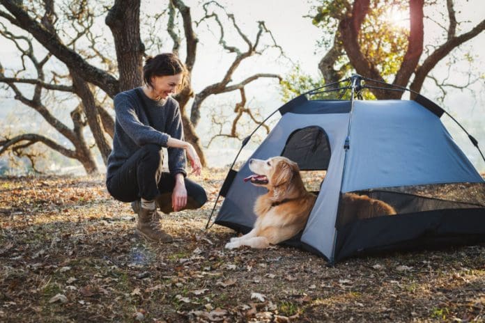 Scout & About Outdoor Tent Landscape Series - Eclipse Lifestyle Image