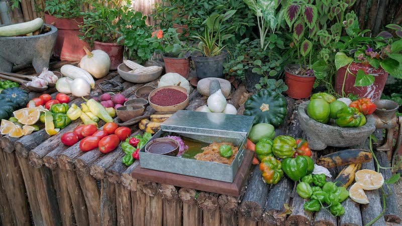 traditional foods in the Yucatan spread on table