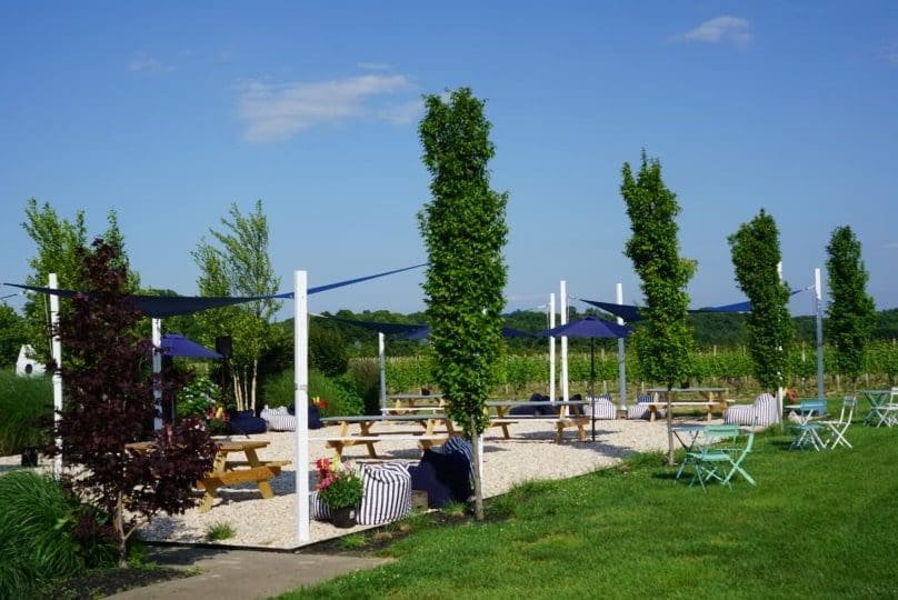 outdoor picnic seating area Peconic Bay Winery cutchogue