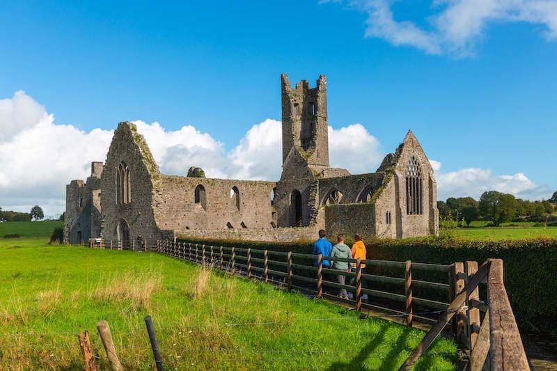 Kilmallock Abbey