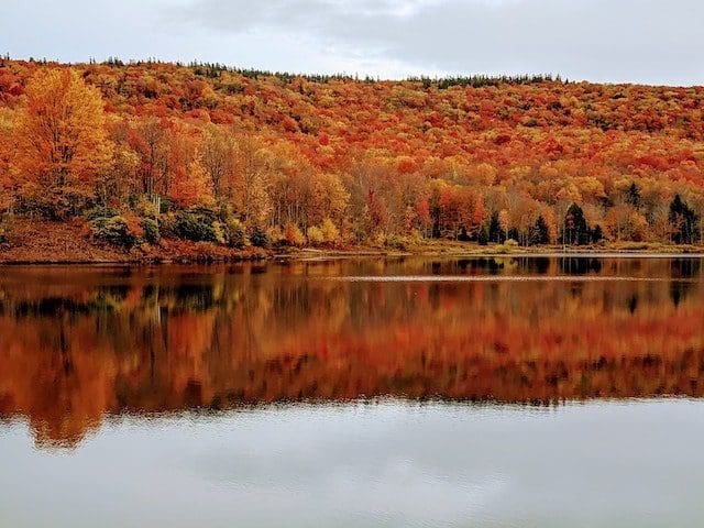 Autumn Trees Beside Lake