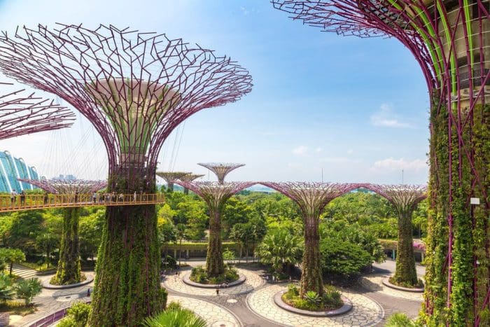 The Supertree Grove at Gardens by the Bay in Singapore near Marina Bay Sands hotel at summer day