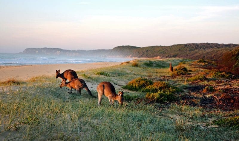 Experience Australia