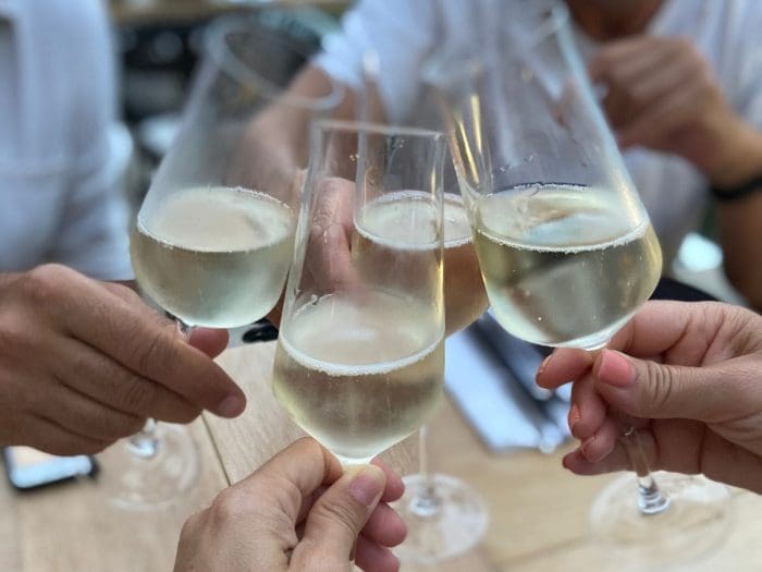 people cheers with white wine glasses
