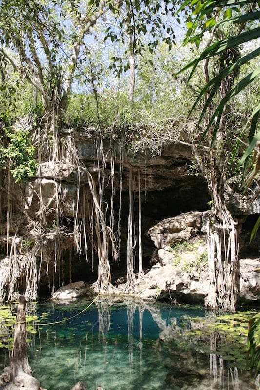 Cenote X'batun