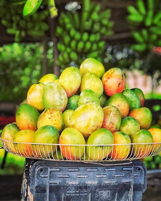fruits - mangos