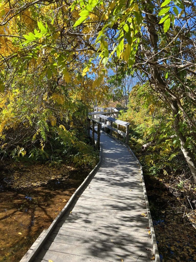 Quogue Wildlife Refuge Hamptons
