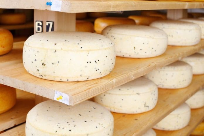 young cheese aging process