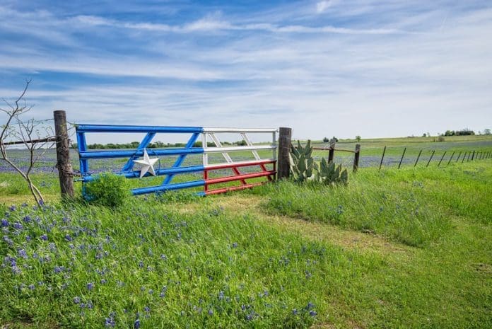 Texas bluebonnet field and fence in spring