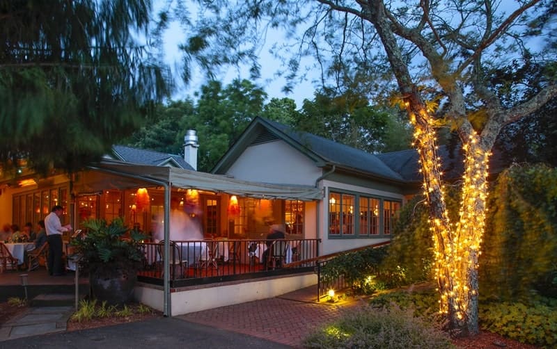 Nick and Toni's night dining dinner