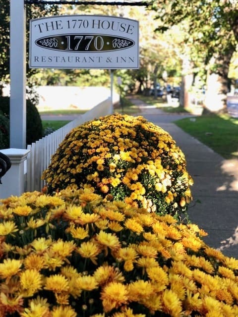 1770 House Autumn Mums Photo Credit 