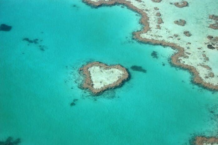 Heart island great barrier reef from above