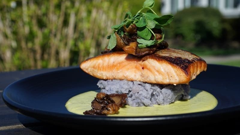 pan seared salmon on dark plate with herbs outside