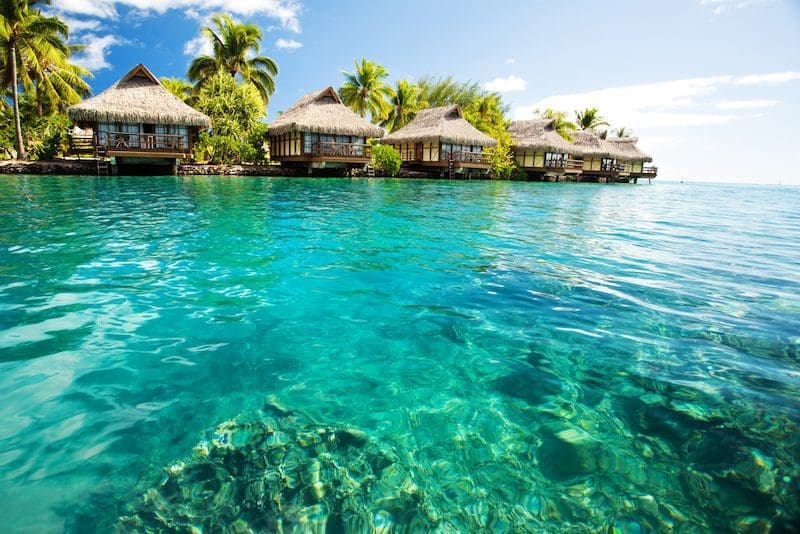 Over water bungalows with steps into green lagoon