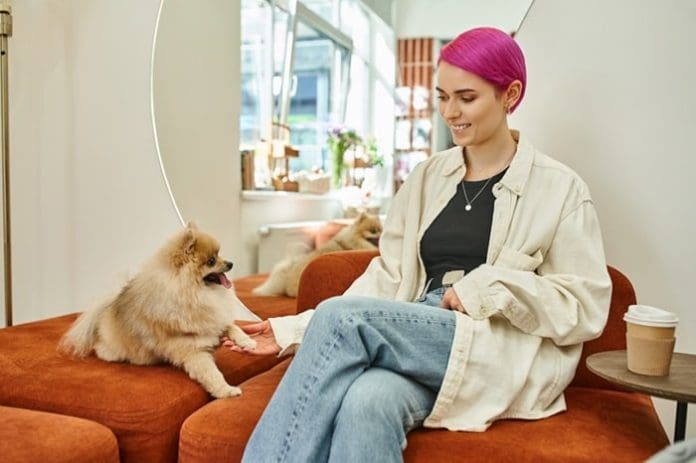 Cheerful purple-haired woman holding paw of cute Pomeranian dog