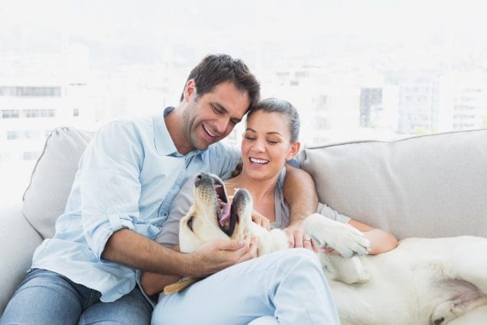 Happy couple petting their yellow labrador on the couch