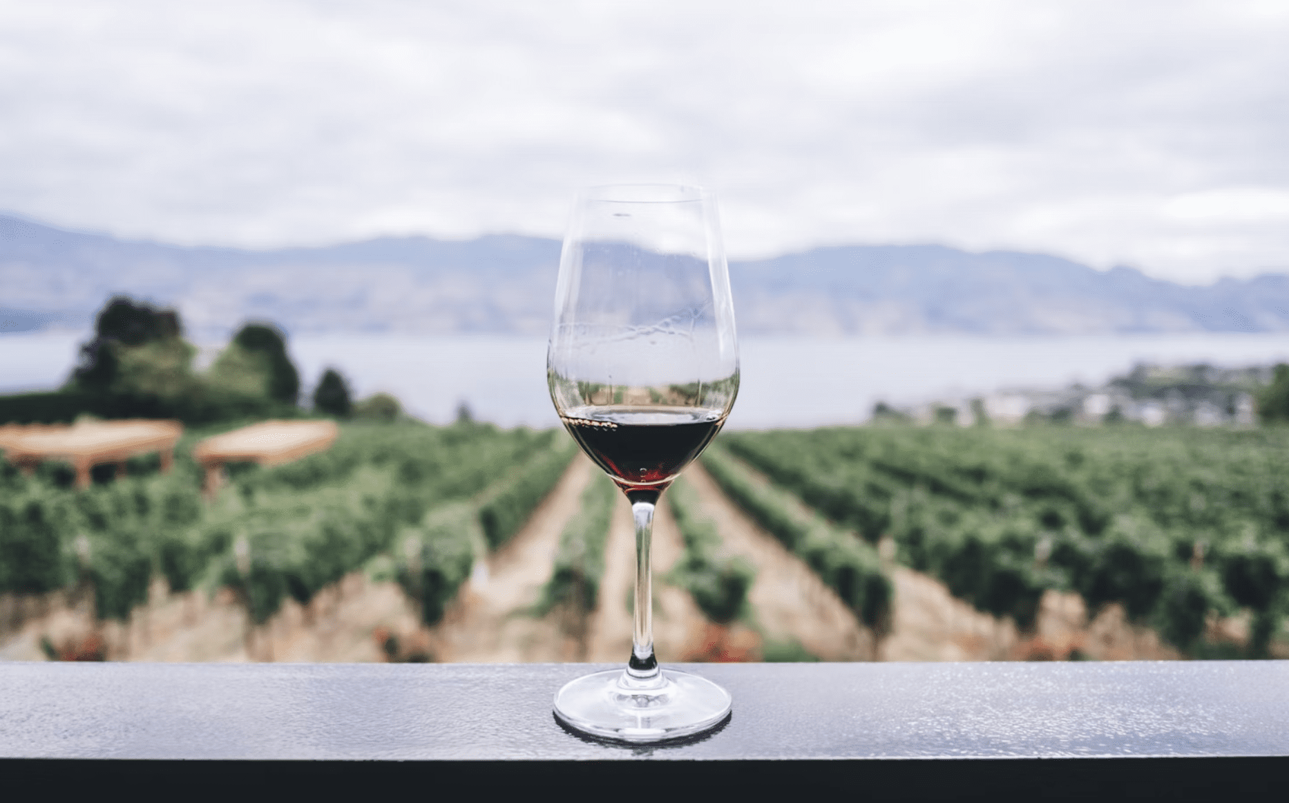 Embarking on a Wine Tour
