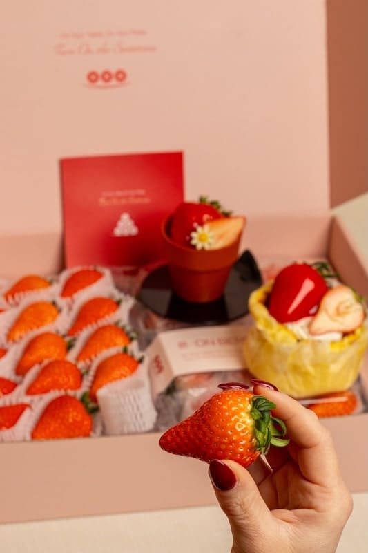 Angelina bakery berries
