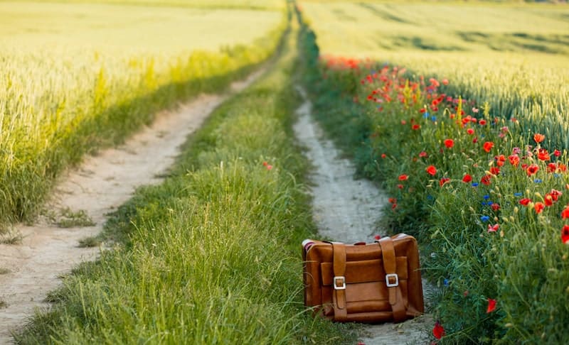 Classic suitcase on the side of a rural road