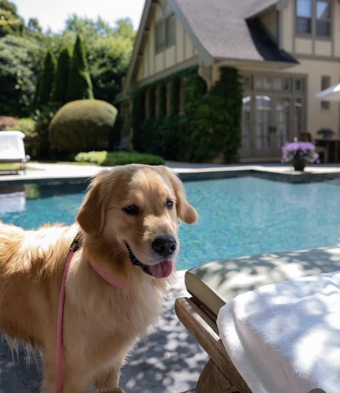 The Baker House 1650 Pet Friendly hotel Hamptons
