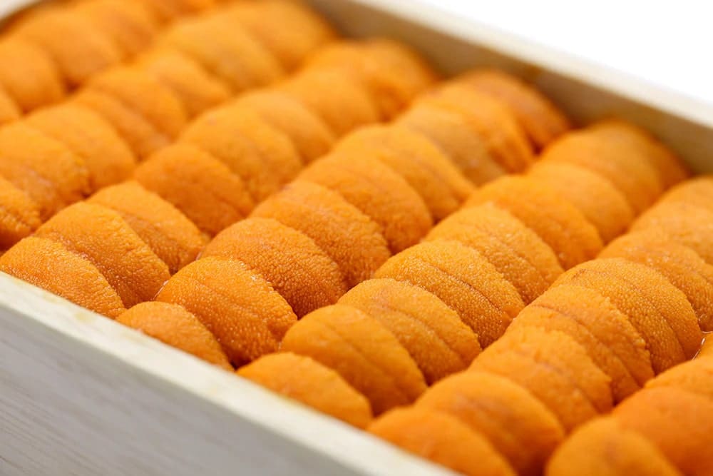 Uni